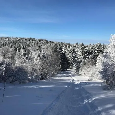 Bel T2 Renove Avec Wifi Au Centre Du Mont-dore, Proche Des Thermes Et Pistes - Fr-1-608-181
